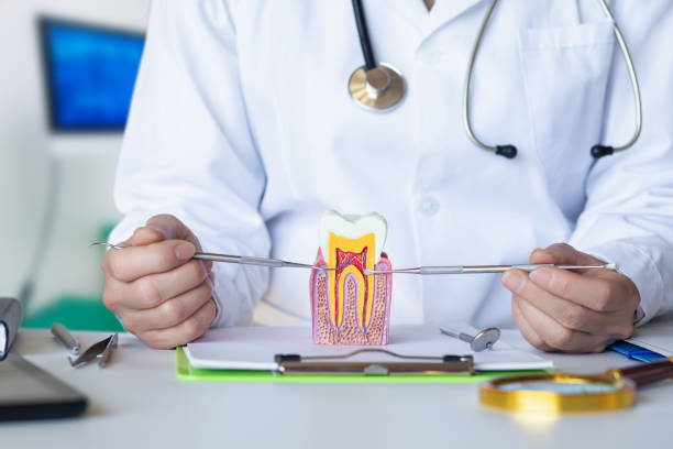 Best Emergency Dentist for Knocked-Out Tooth in Sullivan, IL